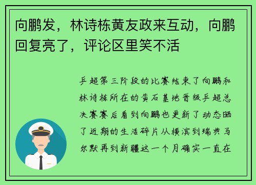 向鹏发，林诗栋黄友政来互动，向鹏回复亮了，评论区里笑不活